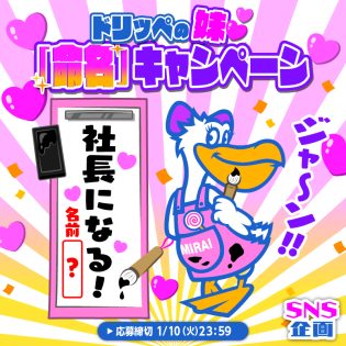 最大１万円分のアマギフ当たる  ドリッペの妹命名キャンペーン