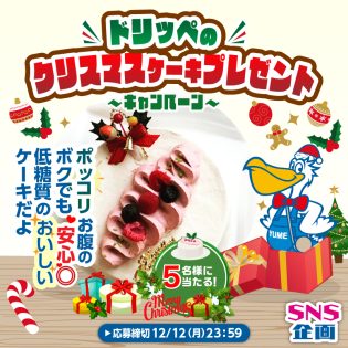 ドリッペのクリスマスケーキ プレゼントキャンペーン